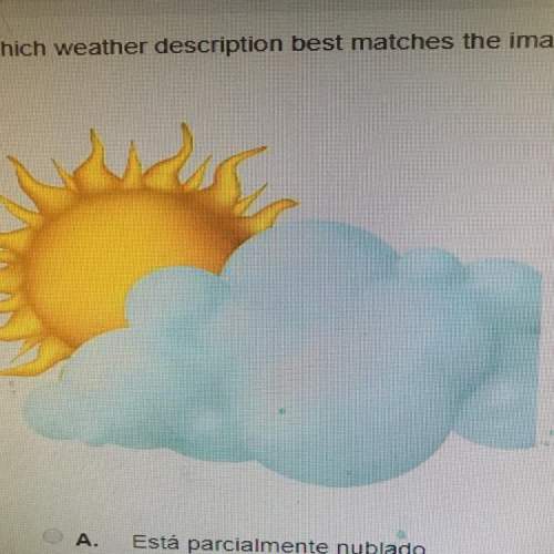 Which weather description best matches the image?  está parcialmente nublado está despej