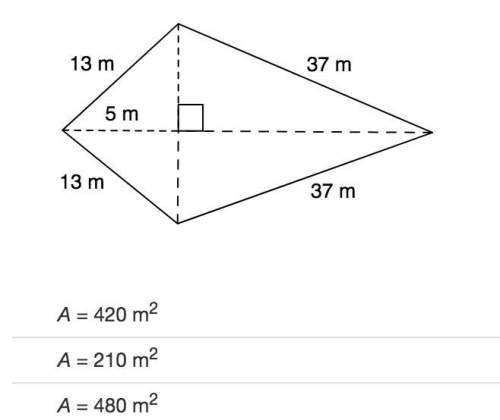 Identify the area of the kite.