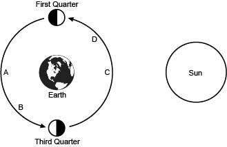 The following diagram shows various positions of the moon in its orbit around earth. the image of th