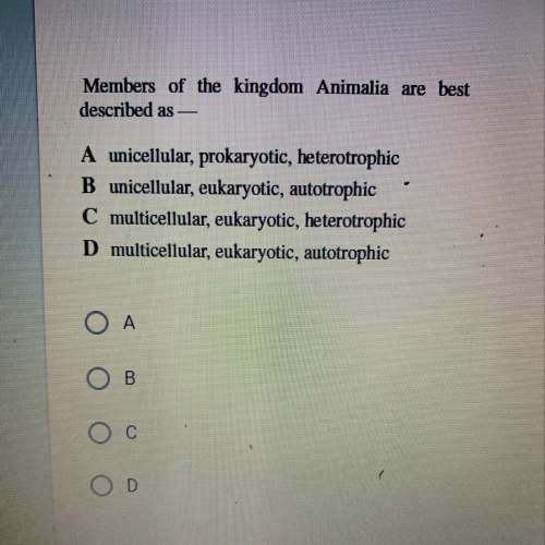 Can someone me with this answer asap!