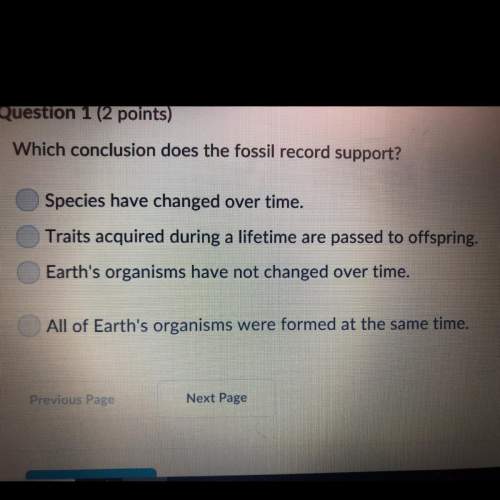What conclusion does the fossil record support