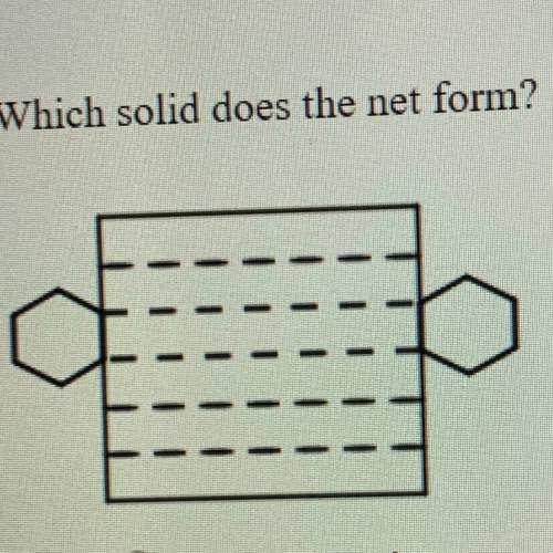 Which solid does the net form hexagonal prism hexagonal pyramid  rectangular prism