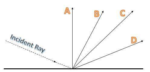 Which shows the correct reflected ray? question options: a b c di think the answer is d beca