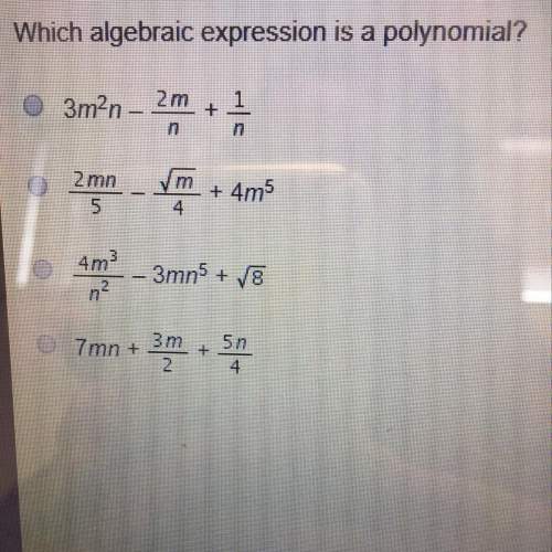 Which algebraic expression is a polynomial?