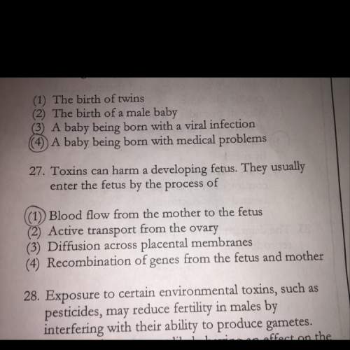 Why is three the correct answer to number 27 ? explain why