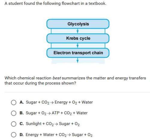 Astudent found the following flowchart in a text book. which chemical reaction best summarizes the m