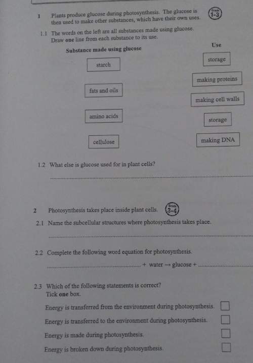 Can someone with my biology homework? its about photosynthesis on a foundation paper (included pho