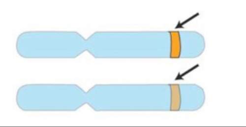 the arrows in the illustration point to