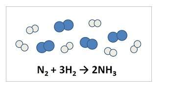 Nitrogen and hydrogen react to form ammonia. consider the mixture of n2 (blue spheres) and h2