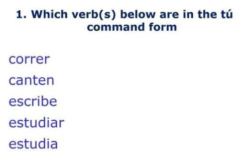 1.) which verb(s) below are in the tu command form?  (look at picture below)