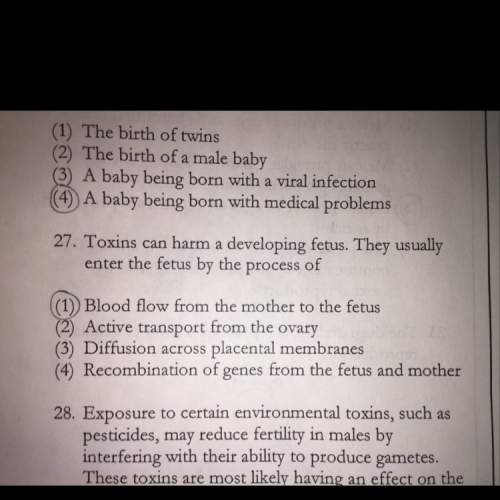 Why is the correct answer three for number 27 ? explain why