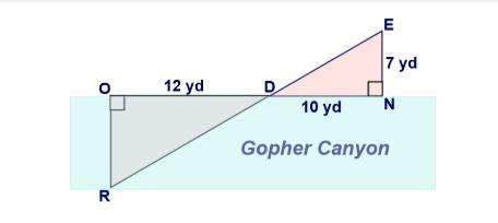 Aexplanation will to. polly gone wants to measure the width of the gopher canyon. she marks d