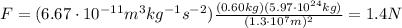 F=(6.67 \cdot 10^{-11}m^3 kg^{-1} s^{-2}) \frac{(0.60 kg)(5.97 \cdot 10^{24} kg)}{(1.3 \cdot 10^7 m)^2}=1.4 N