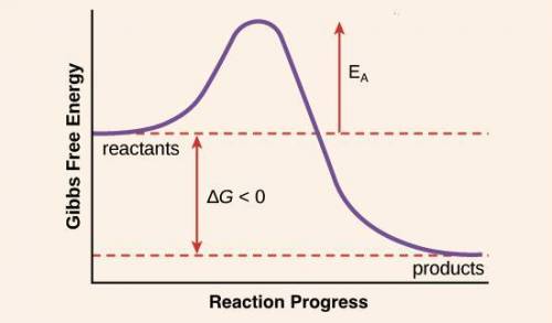 Chemical reactions are most likely to happen when  a.electrons are in an excited state.  b. electron