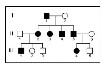 The pedigree shown above is based on a family with freckles (filled circles or squares) or lacking f