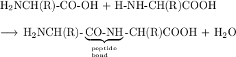 \rm H$_{2}$NCH(R)-CO-OH + H-NH-CH(R)COOH\\\\\longrightarrow \,\text{H${_2}$NCH(R)-} \underbrace{\text{CO-NH}}_{^\text{peptide}_{\text{bond}}}\text{-CH(R)COOH + H$_{2}$O}