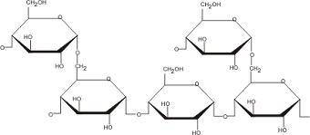 Draw a structure of glycogen with two alpha (1> 4) linkages and two alpha (1> 6) 3 linkages be