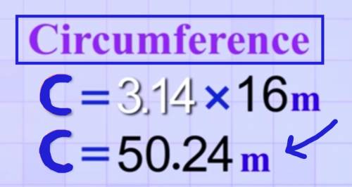 What is a circumference of a circle with radius 8 meters?