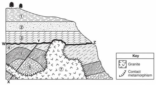 Identify two processes that formed the unconformity at wz