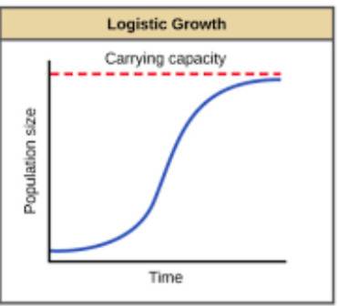 Where does population level off in logistical growth?  a. at the exponent b. at the carrying capacit