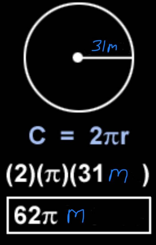 What is the radius of a circle with a circumference 31 m?