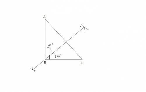 In your notebook, draw a right angle and then draw a bisector of the right angle. label all parts. w