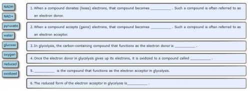 In glycolysis, as in all the stages of cellular respiration, the transfer of electrons from electron