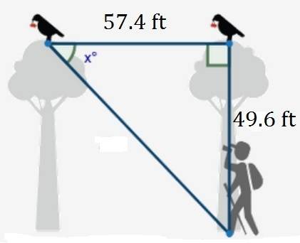 Two birds sit at the top of two different trees 57.4 feet away from one another. the distance betwee