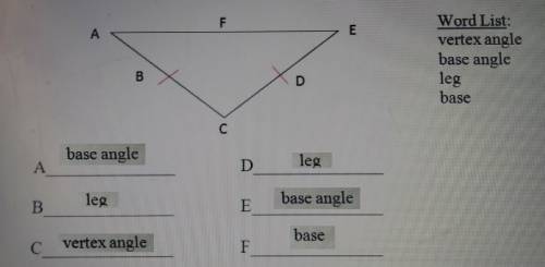 Using the words from the word list name all the parts of the isosceles triangle. some words used mor