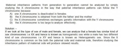Maternal inheritance patterns from generation to generation cannot be analyzed by simply studying th