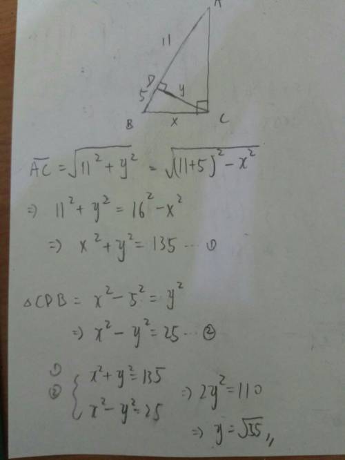 Find the value of y.  a. 16 b. \sqrt{55}  c. 8\sqrt{3}  d. 6