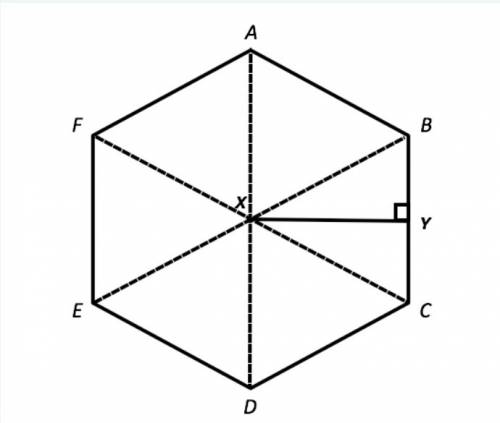 The height of the regular hexagon shown is 24 in. calculate the area to the nearest tenth.