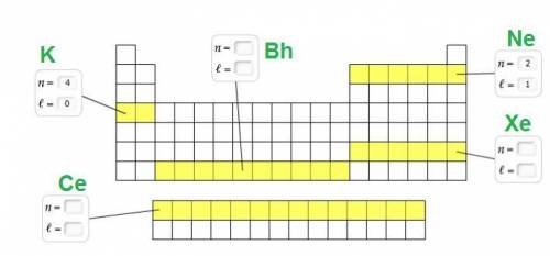 Or each set of elements represented in this periodic table outline, identify the principal quantum n