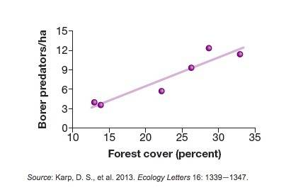 The abundance of birds and other predators of borer beetles depends on how much natural forest is le