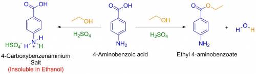 Initially you dissolved all, or most, of the p-aminobenzoic acid in ethanol. then you slowly added s