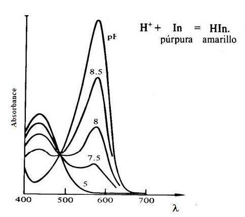 For your indicator, what is the wavelength of maximum absorbance for the ph <  4.00 solution?  wh
