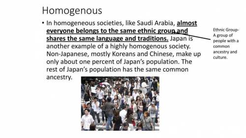 Societies in which one major, dominant ethnic group comprises most of the population are referred to