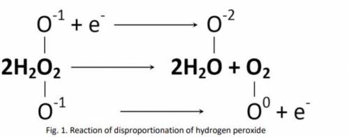Hydrogen peroxide, h2o2(aq), decomposes into water and oxygen. adding a small amount of fecl3(aq) in
