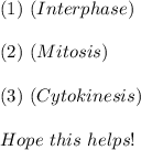 (1) \ (Interphase) \\ \\ (2) \  (Mitosis) \\ \\ (3) \ (Cytokinesis) \\ \\ Hope \ this \ helps!