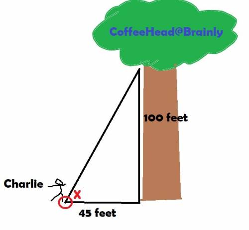 Charlie is standing 45 feet from the base of 100 foot tall tree. what is the angle of elevation from