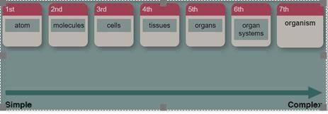 The organ is the simplest level of organization of organisms. (a) true (b) false