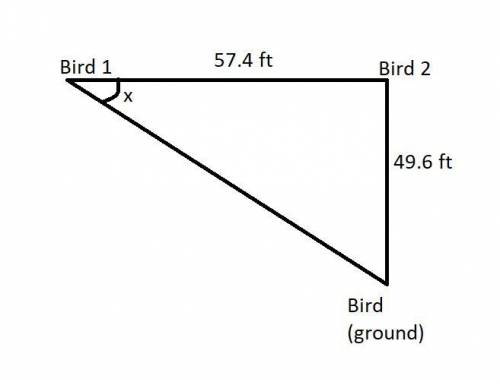 Two birds sit at the top of two different trees 57.4 feet away from one another. the distance betwee
