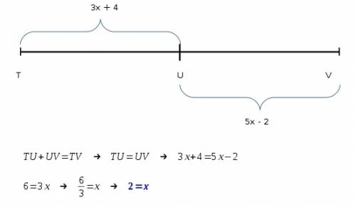Uis the midpoint of tv, tu=3x +4 and uv equals 5x -2 find tu uv &  tv