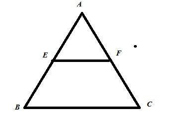 Segment ef is a mid segment of triangle abc. if bc = 12 cm, what is the measure of segment ef?  a. 2