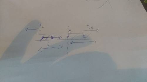 Assume that segment r exerts a force of magnitude t on segment l. what is the magnitude flr of the f