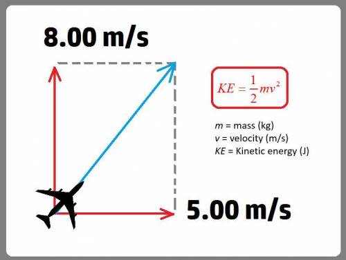 A3.00-kg model airplane has velocity components of 5.00 m/s due east and 8.00 m/s due north. what is