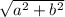 \sqrt{{a^{2} }+ b^{2}}