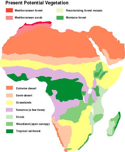 What are africa's 4 vegetation zones