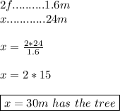 2f..........1.6m \\ x............24m \\\\ x=\frac{2*24}{1.6} \\\\ x=2*15 \\\\ \boxed{x=30 m \ has \ the \ tree}