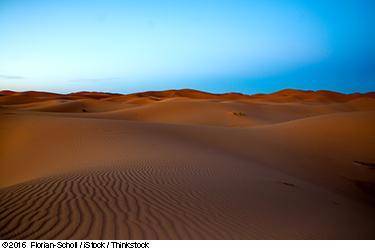 What do you know about the sahara desert